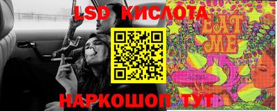 ECSTASY Елизово
