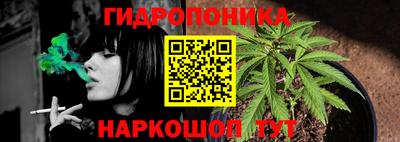 ECSTASY Елизово