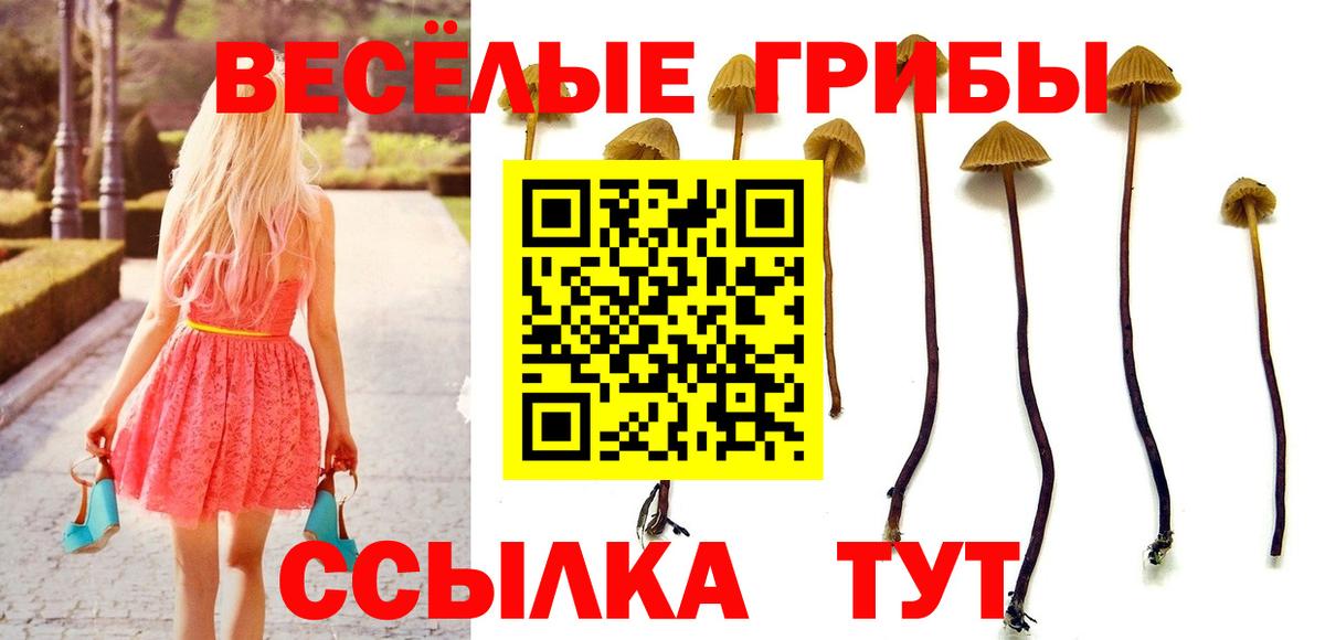 Галлюциногенные грибы Magic Shrooms Россия