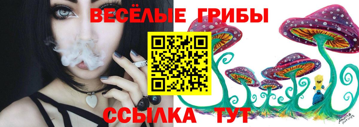 Галлюциногенные грибы Psilocybe  Вход с VPN  Россия 